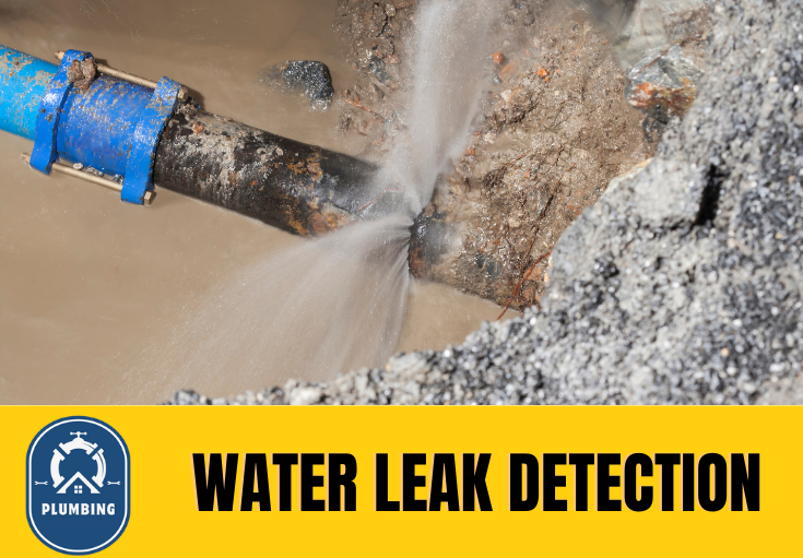 leak detection Strood